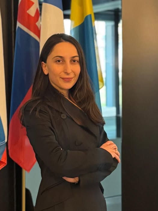ნინო თათოშვილი &ndash; საქართველოს ადვოკატები დამოუკიდებელი პროფესიისათვის