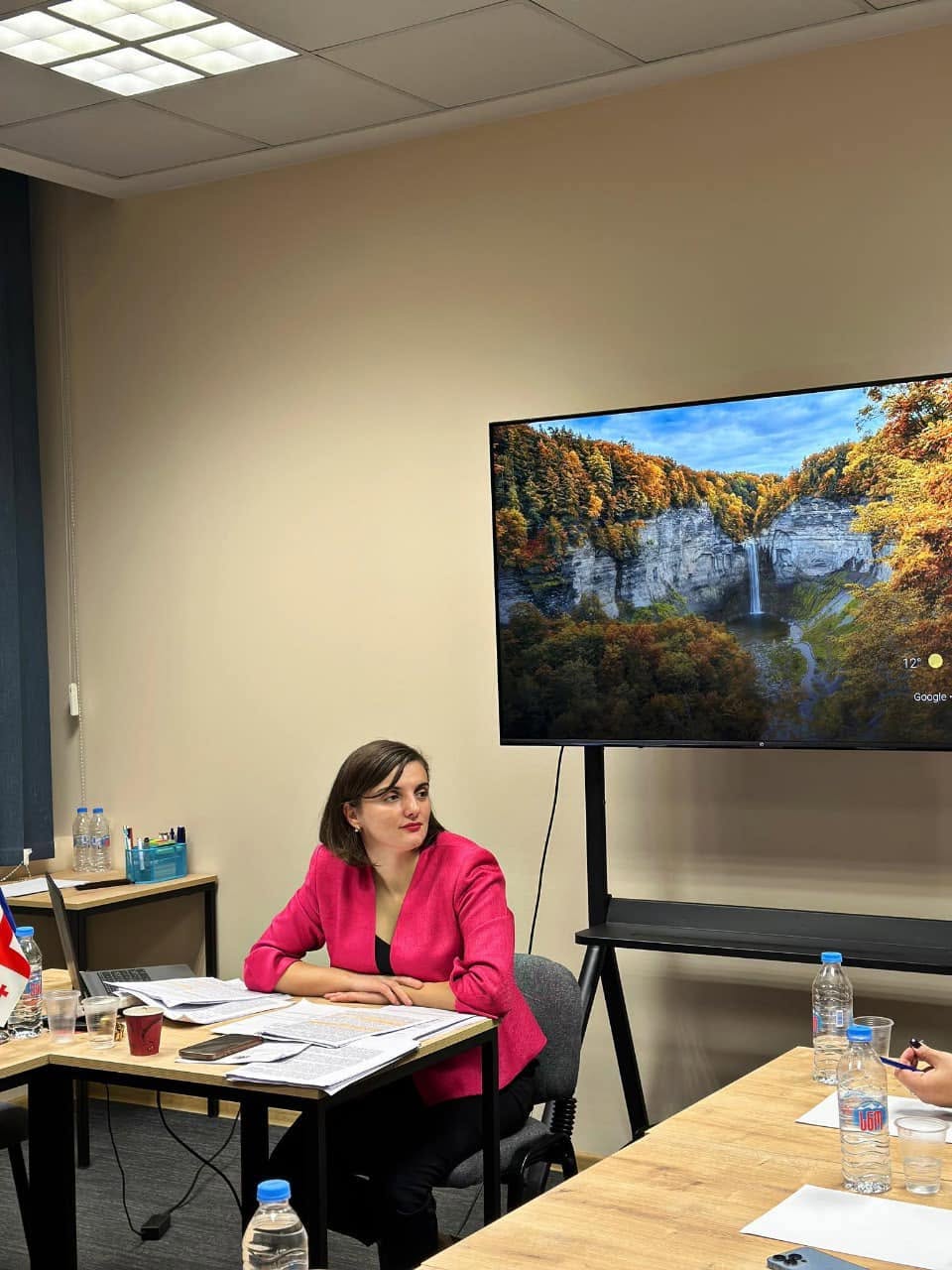 საქართველოს ადვოკატები დამოუკიდებელი პროფესიისათვის — ფოტო 2 / 10